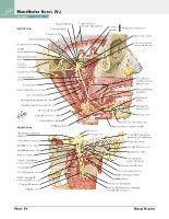 Frank H. Netter, MD - Atlas of Human Anatomy (6th ed ) 2014, page 67